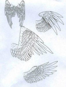 Angel Drawing Reference and Sketches for Artists