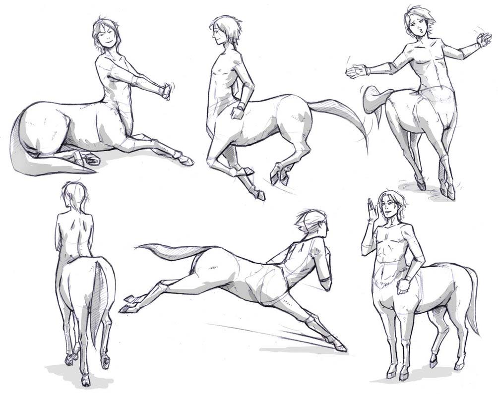 Centaurs drawing reference