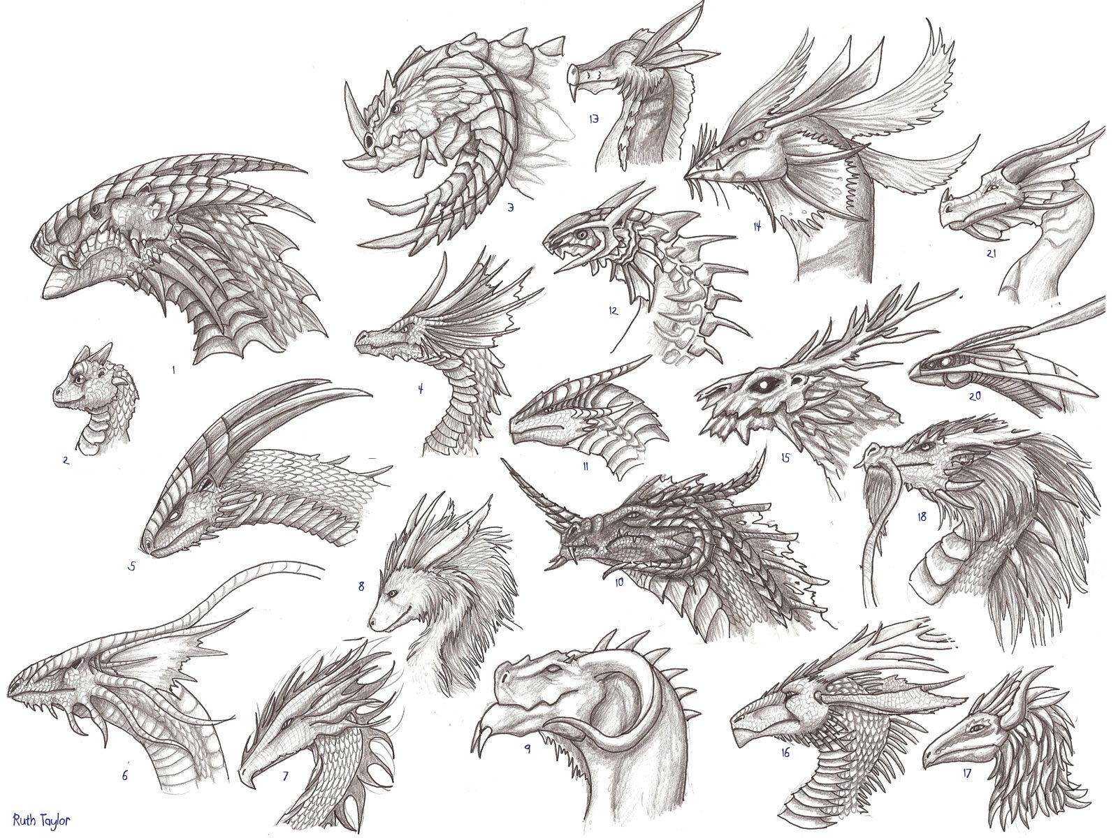 dragon head drawing reference