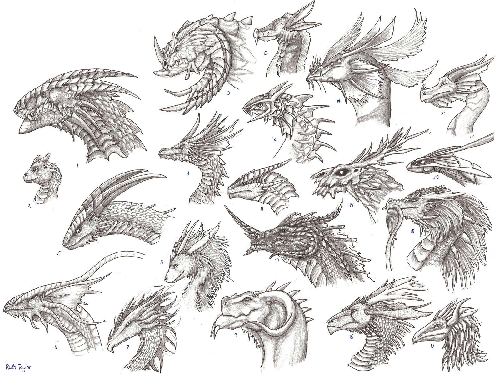 cool dragon head drawings