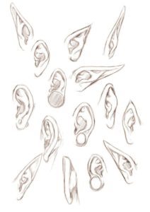 Elf Ear Drawing Reference and Sketches for Artists