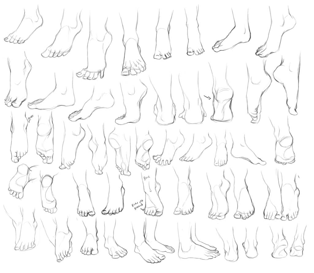 Feet drawing reference