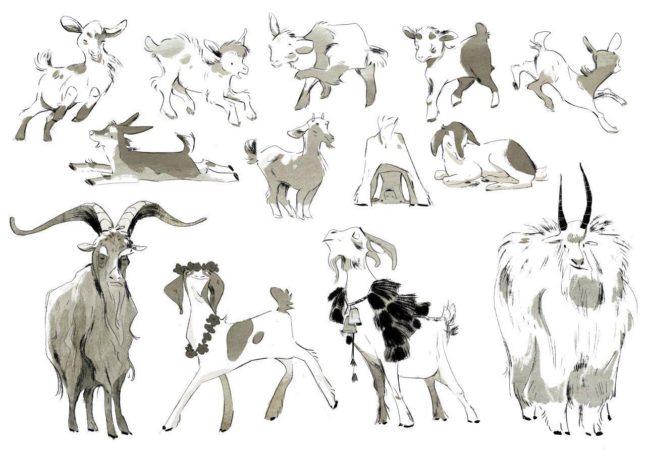Goat drawing reference