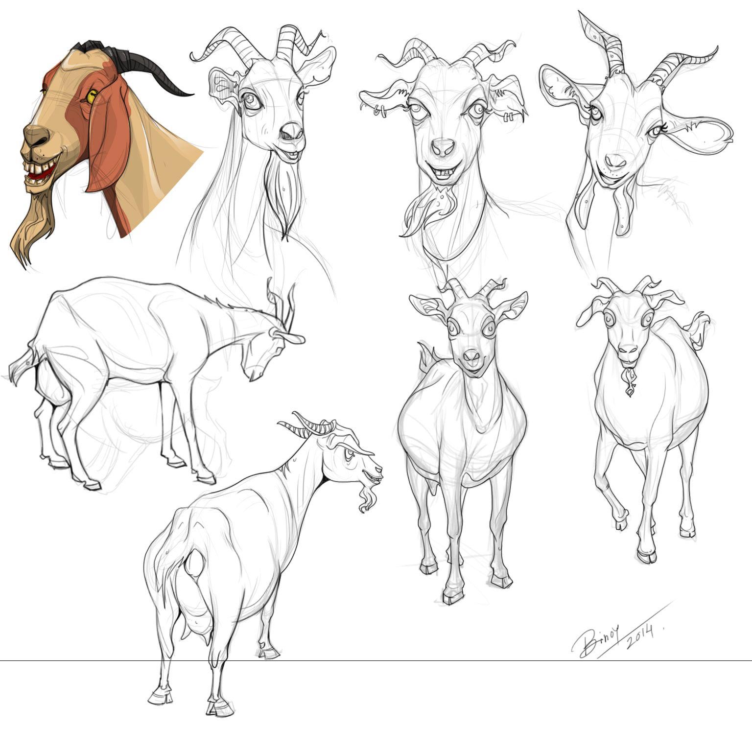 Goat Drawing Reference and Sketches for Artists