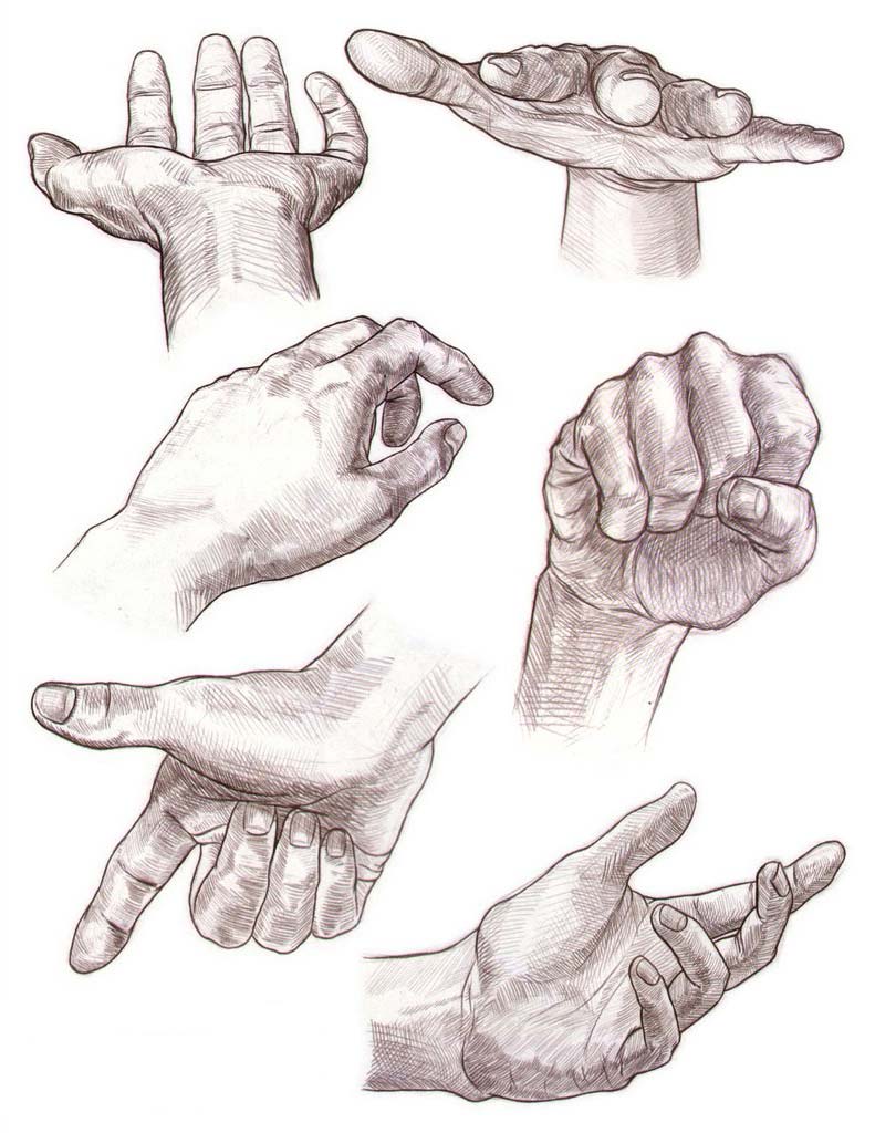 Hands Drawing Reference
