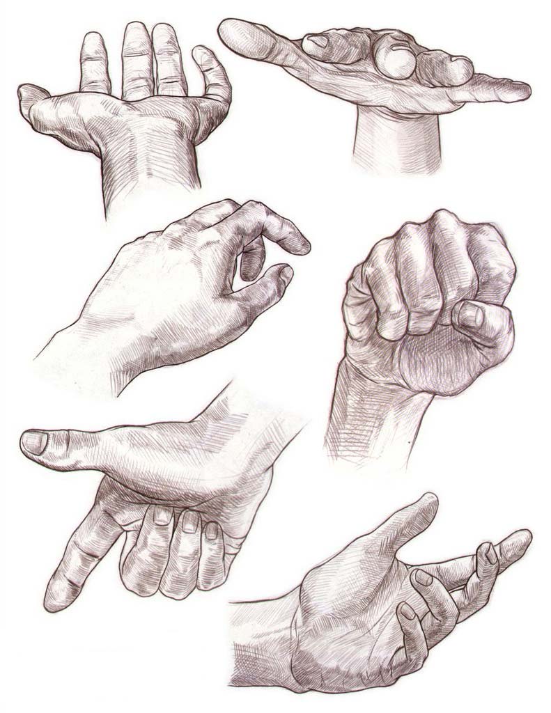 Hand Drawing Reference Drawing Image