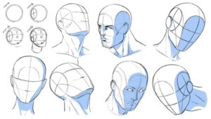 Head Drawing Reference and Sketches for Artists