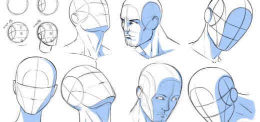Head drawing reference