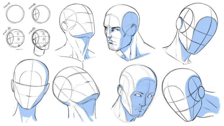 Head Drawing Reference and Sketches for Artists