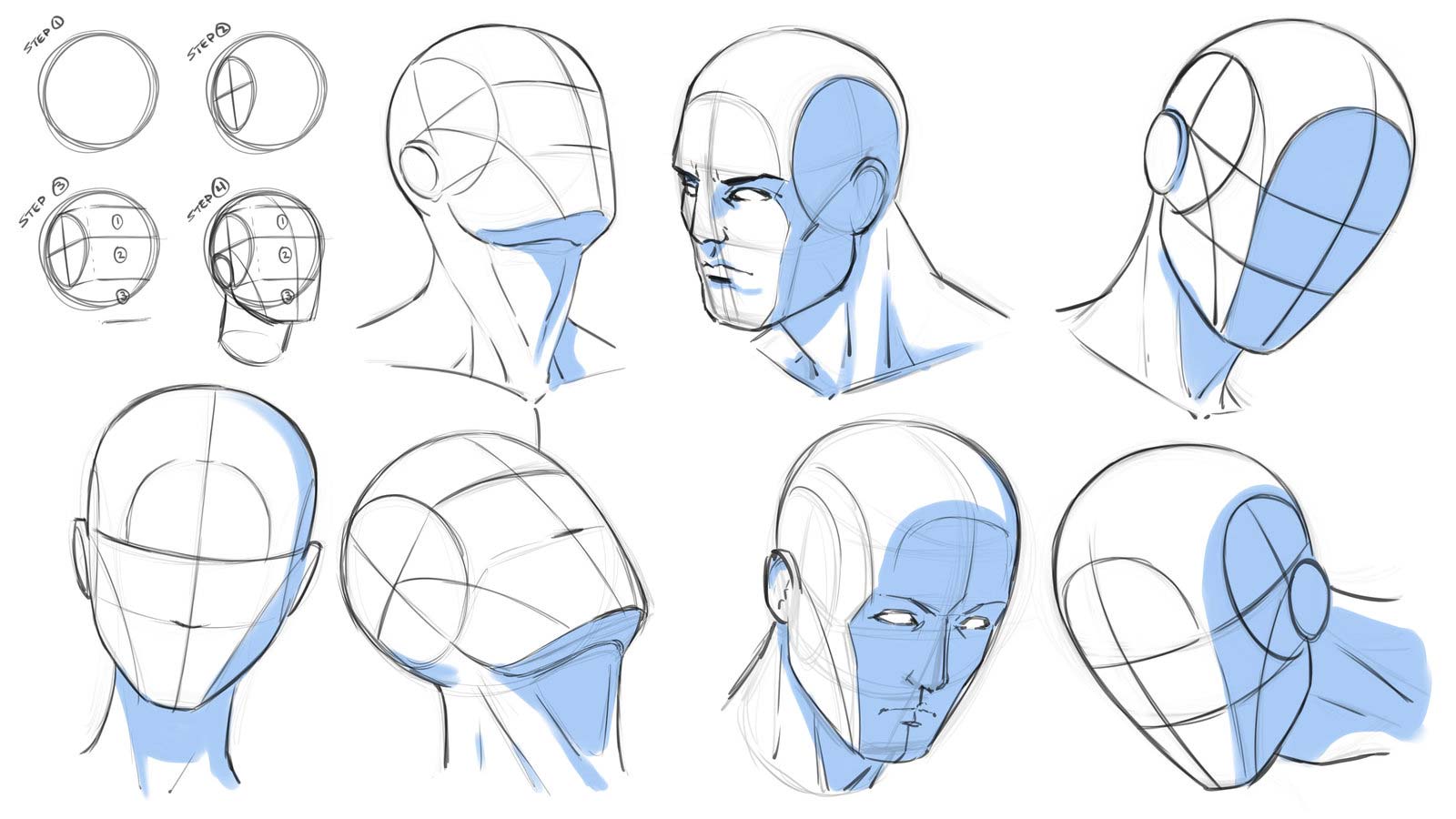 Head Drawing Reference and Sketches for Artists.