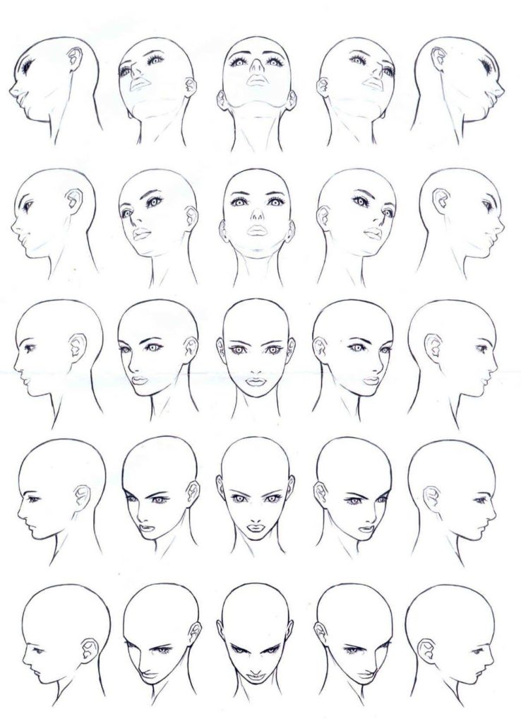 Head Drawing Reference and Sketches for Artists