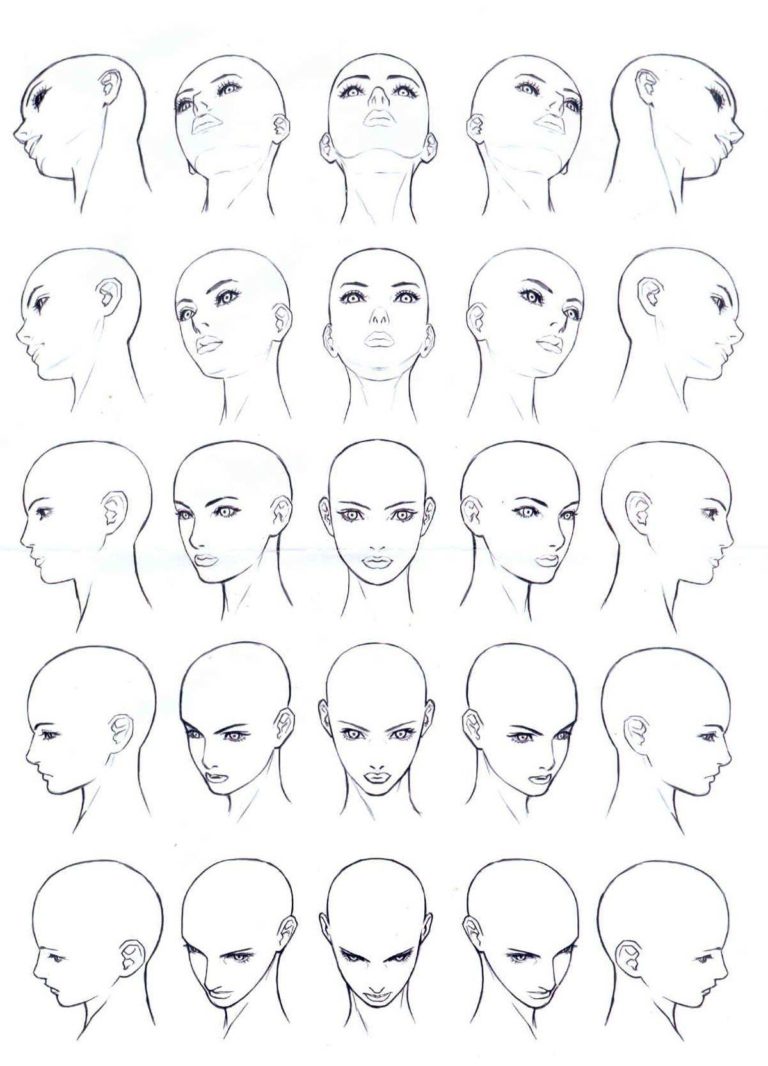 Head Drawing Reference and Sketches for Artists