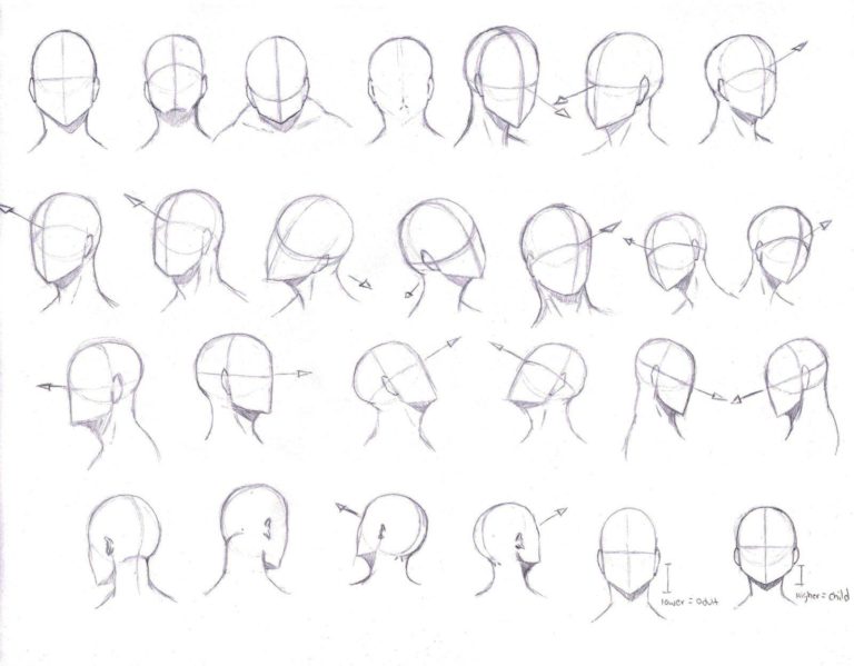 Head Drawing Reference and Sketches for Artists