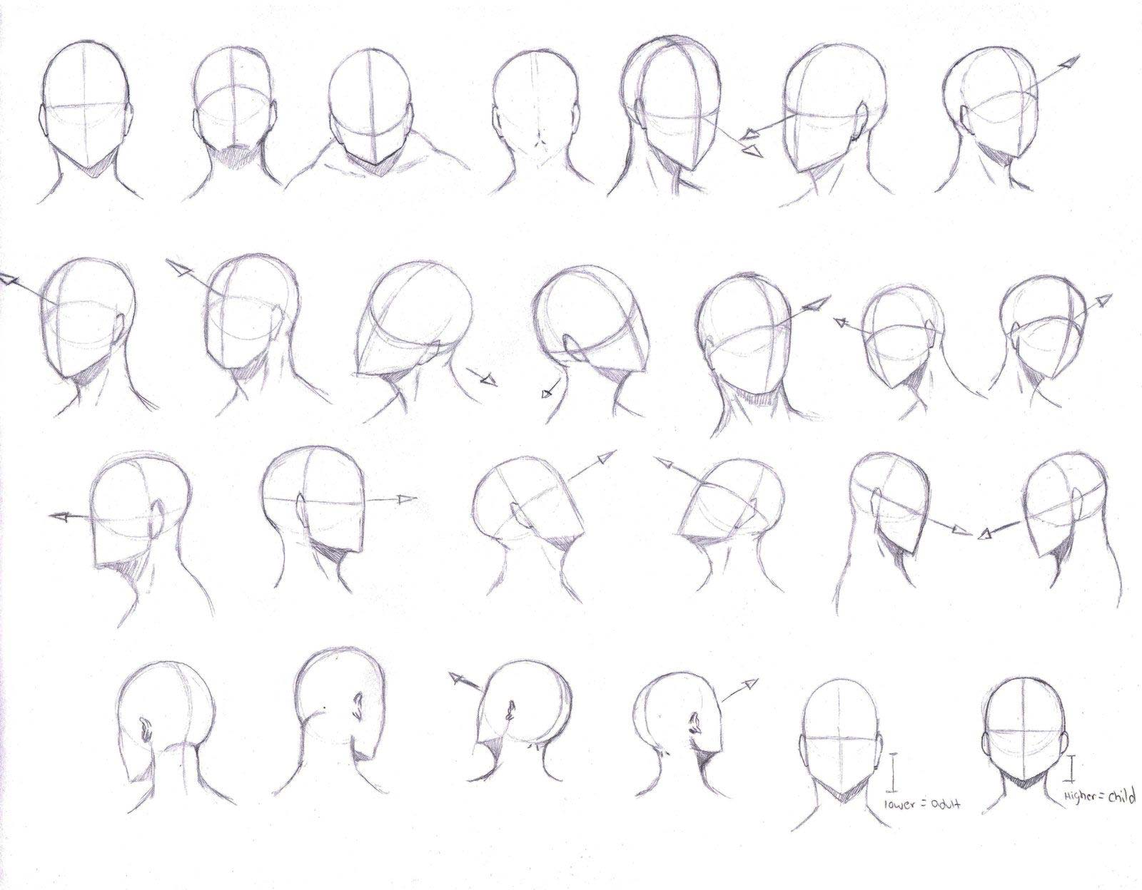 drawing head model