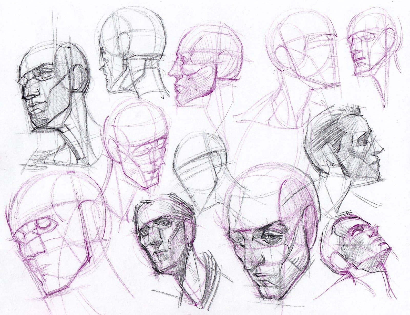 Head Drawing Reference and Sketches for Artists