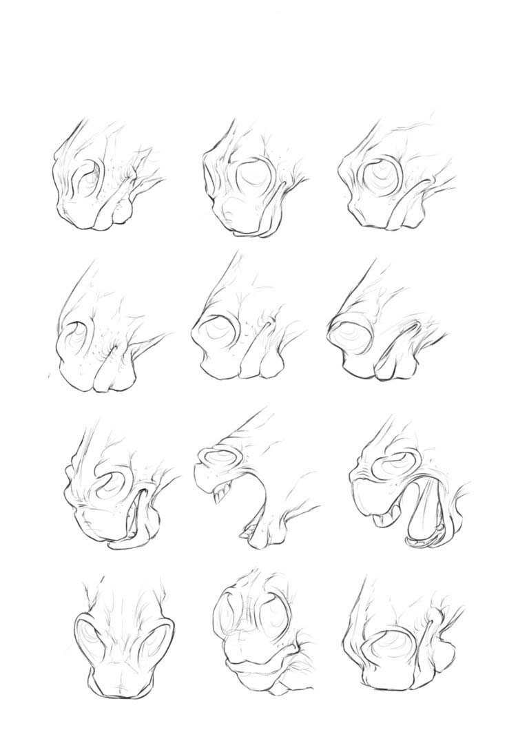 Horse nose Drawing Reference and Sketches for Artists