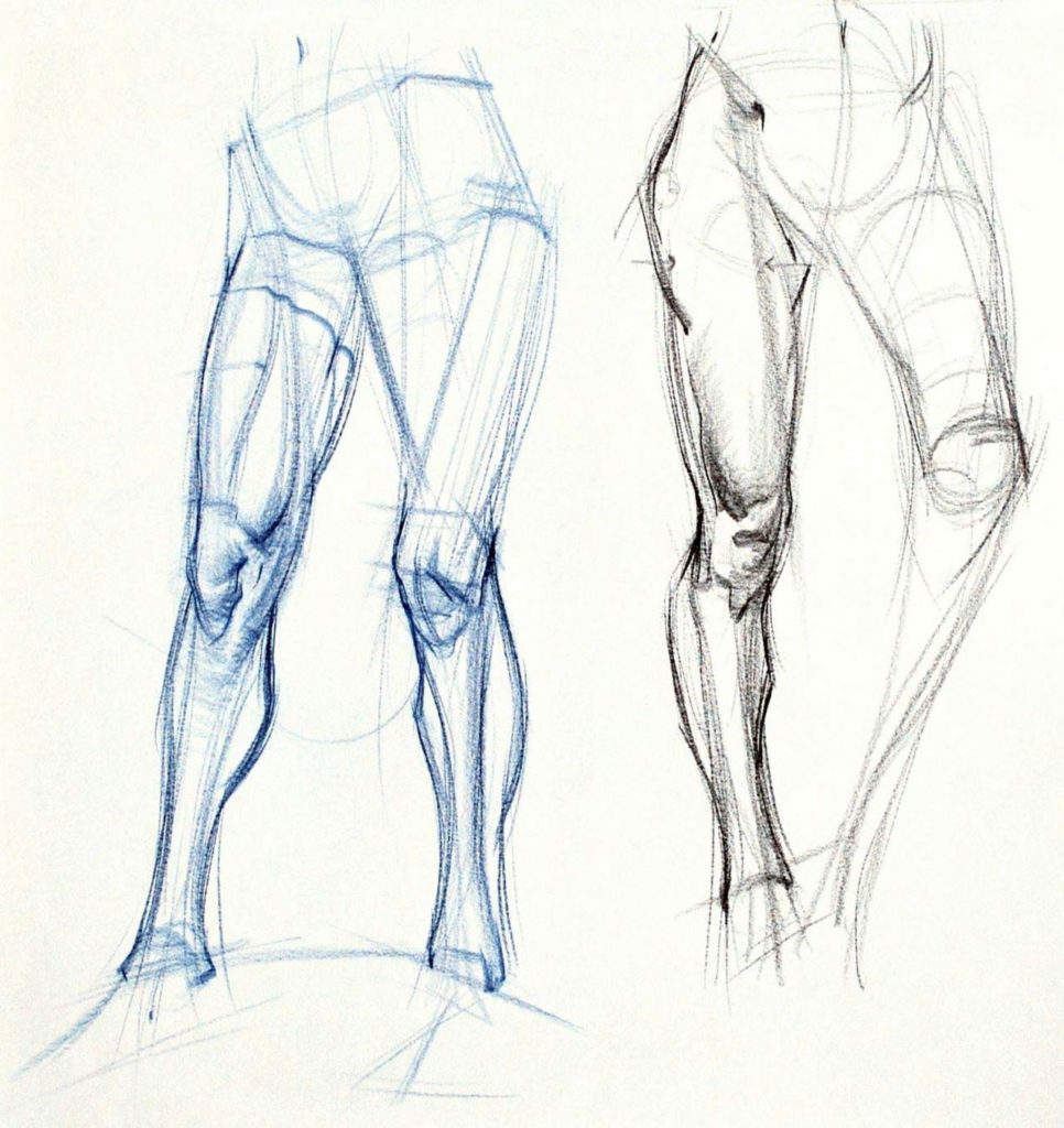 Knee Drawing Reference and Sketches for Artists