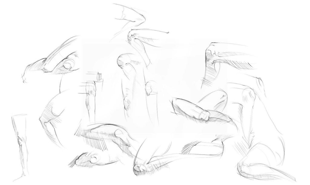 Knee Drawing Reference and Sketches for Artists