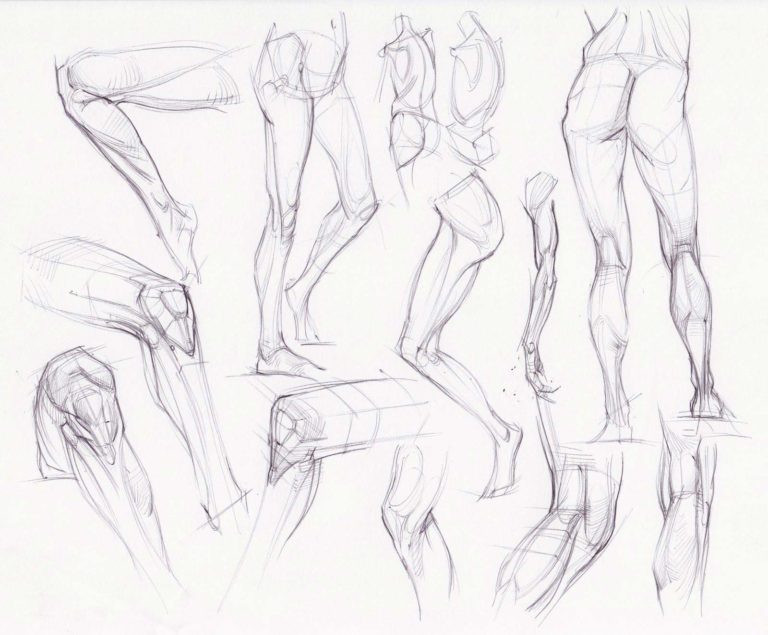 Knee Drawing Reference and Sketches for Artists