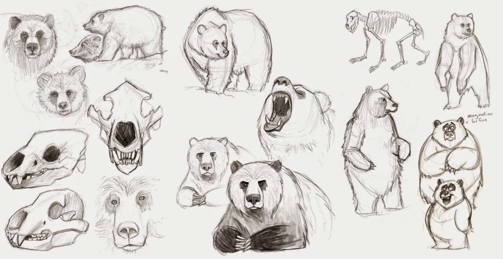 Grizzly bear Drawing Reference and Sketches for Artists