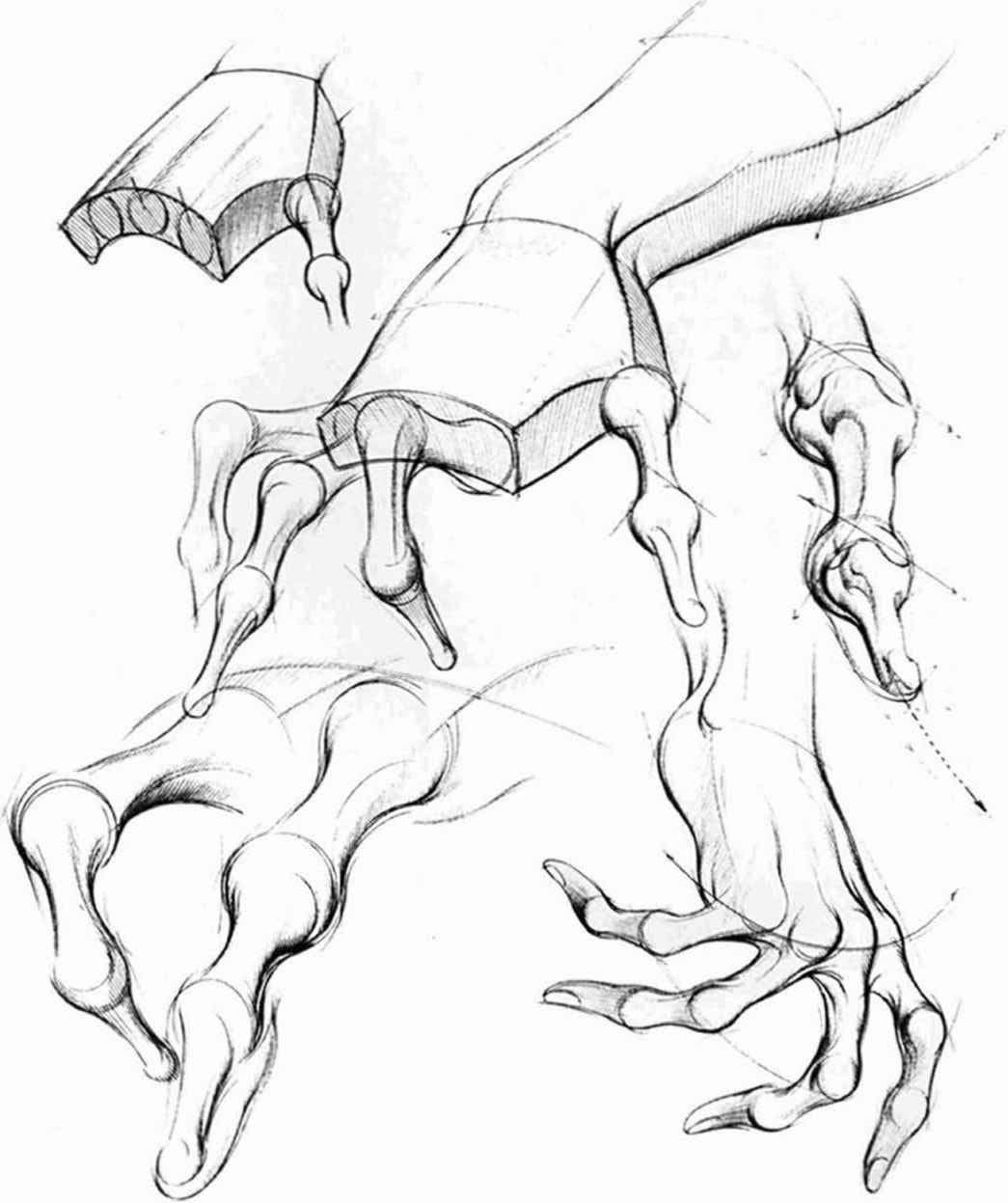 hand drawing reference