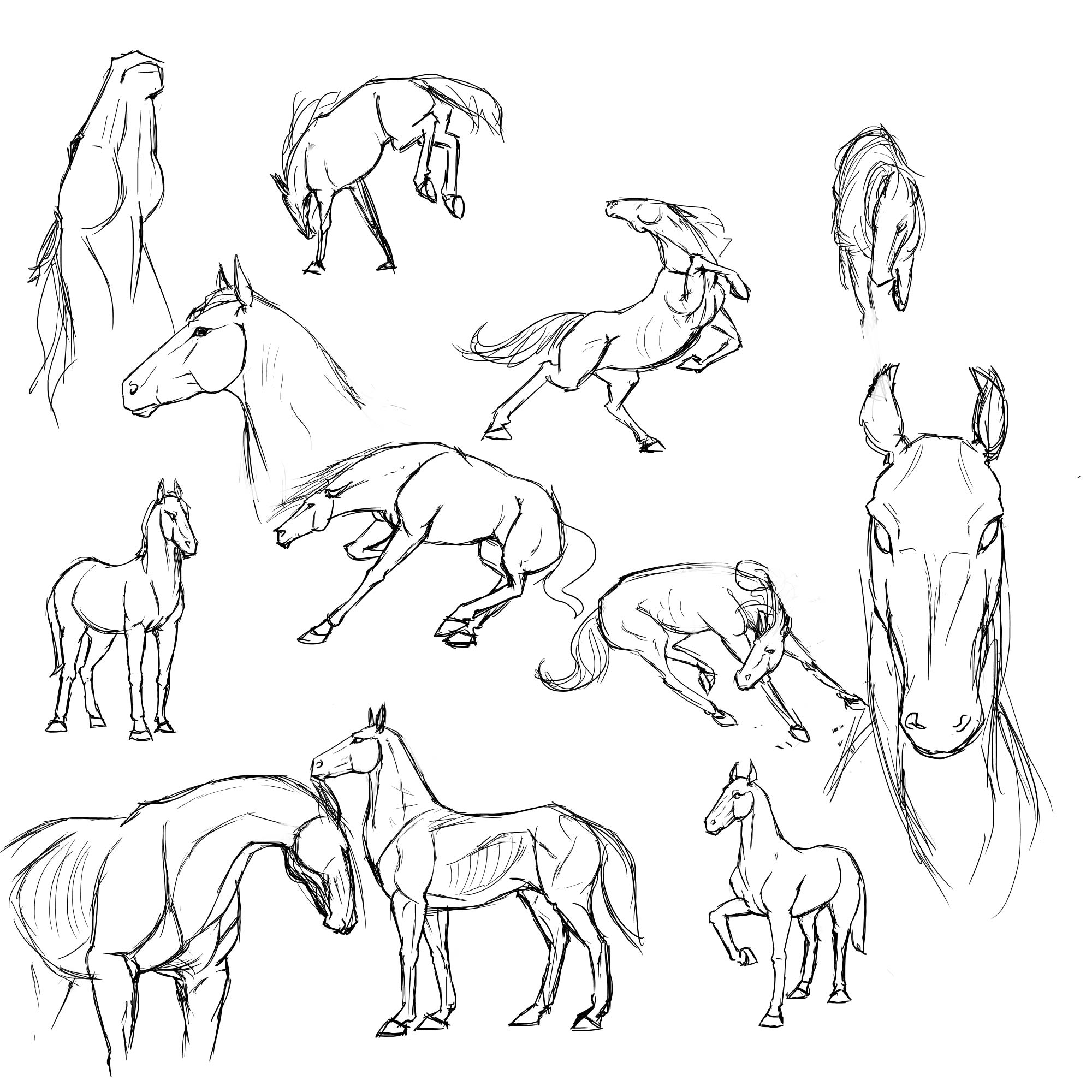 horse figure drawing