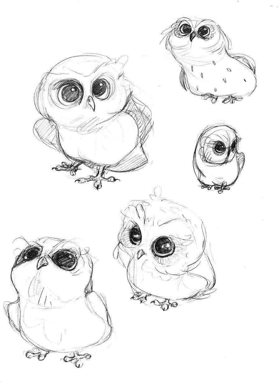Owl Drawing Reference and Sketches for Artists