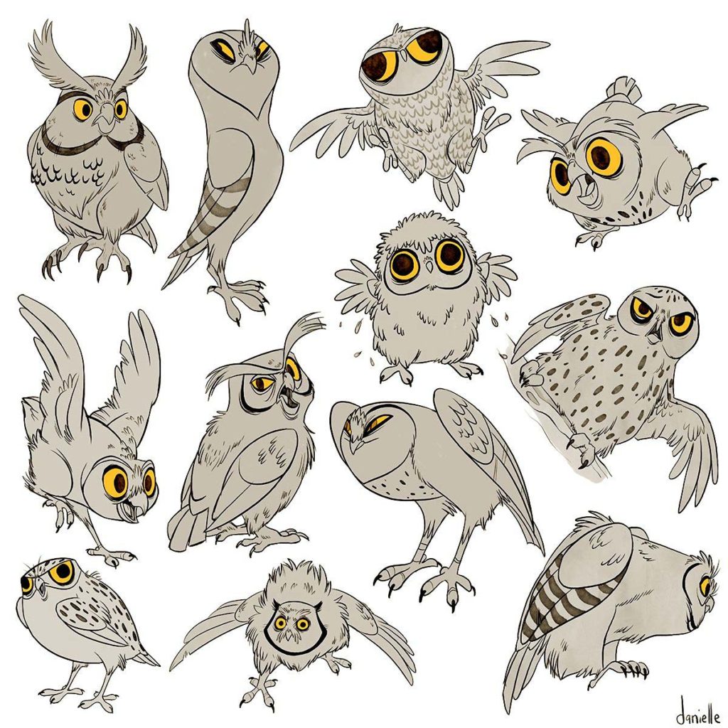 Owl Drawing Reference and Sketches for Artists