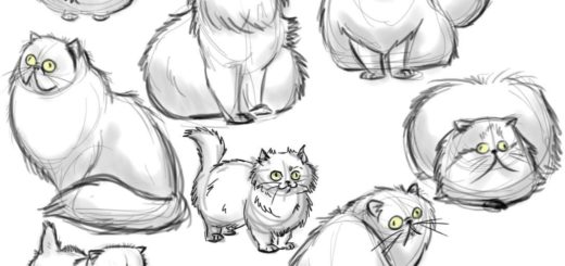 Persian cat drawing reference