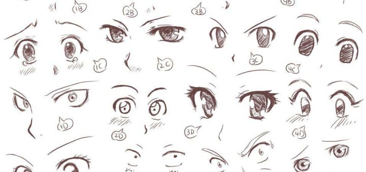Eyes Drawing References and Sketches for Artists
