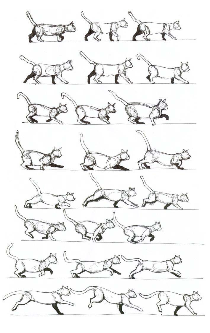 Cat running drawing