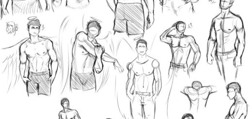 Male Torso drawing reference