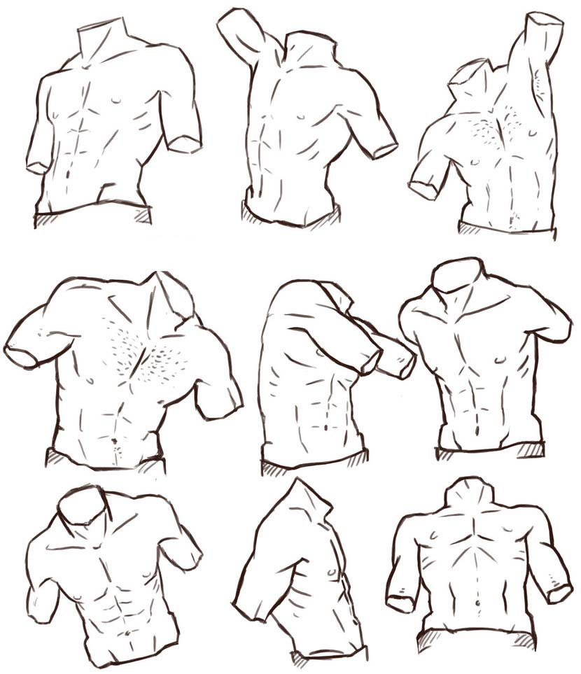 Muscular Male Chest Linear Icon Thin ilustracja stockowa 763435237   Shutterstock