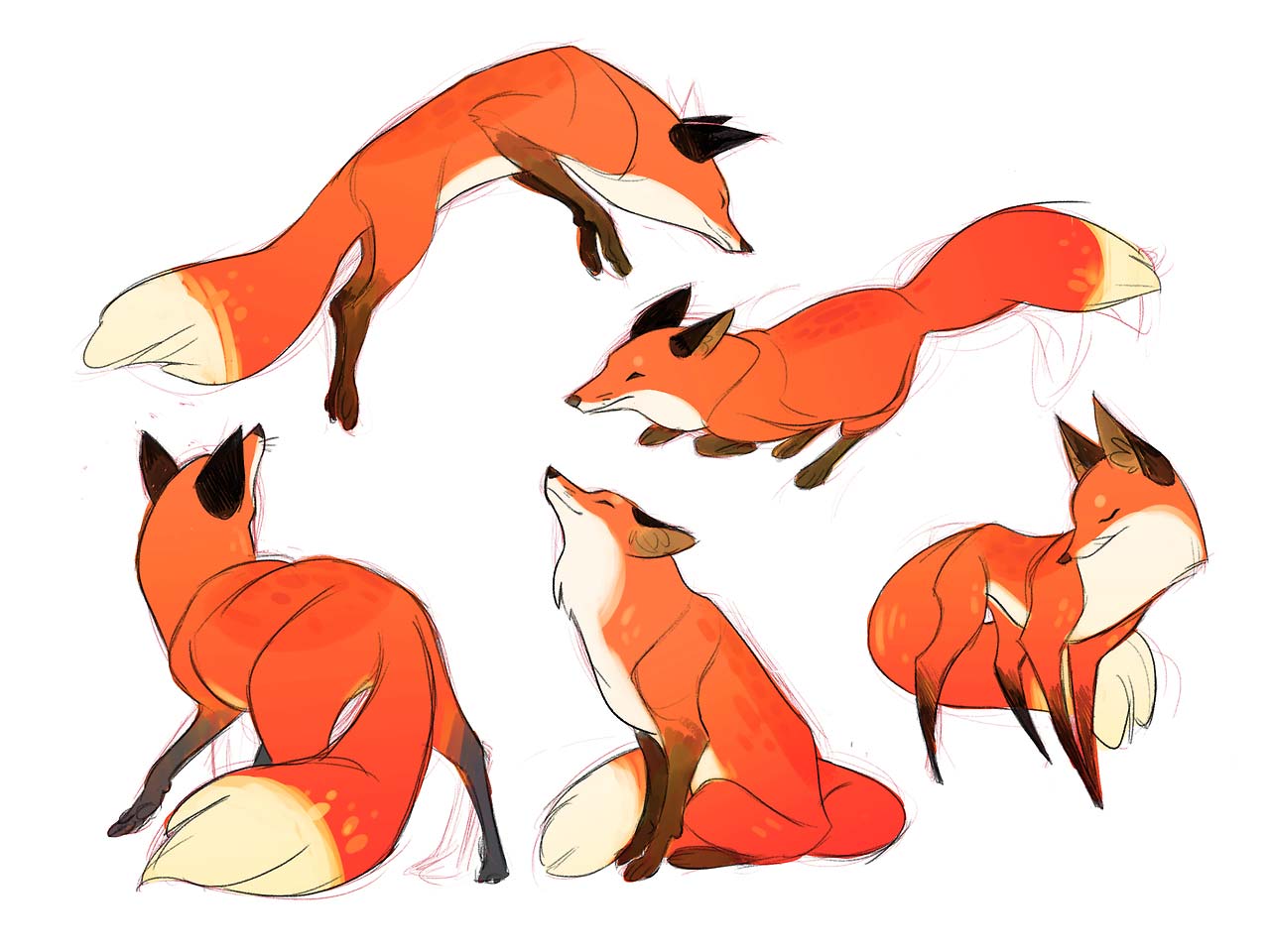 animal poses drawing