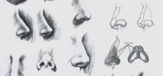 Nose drawing reference