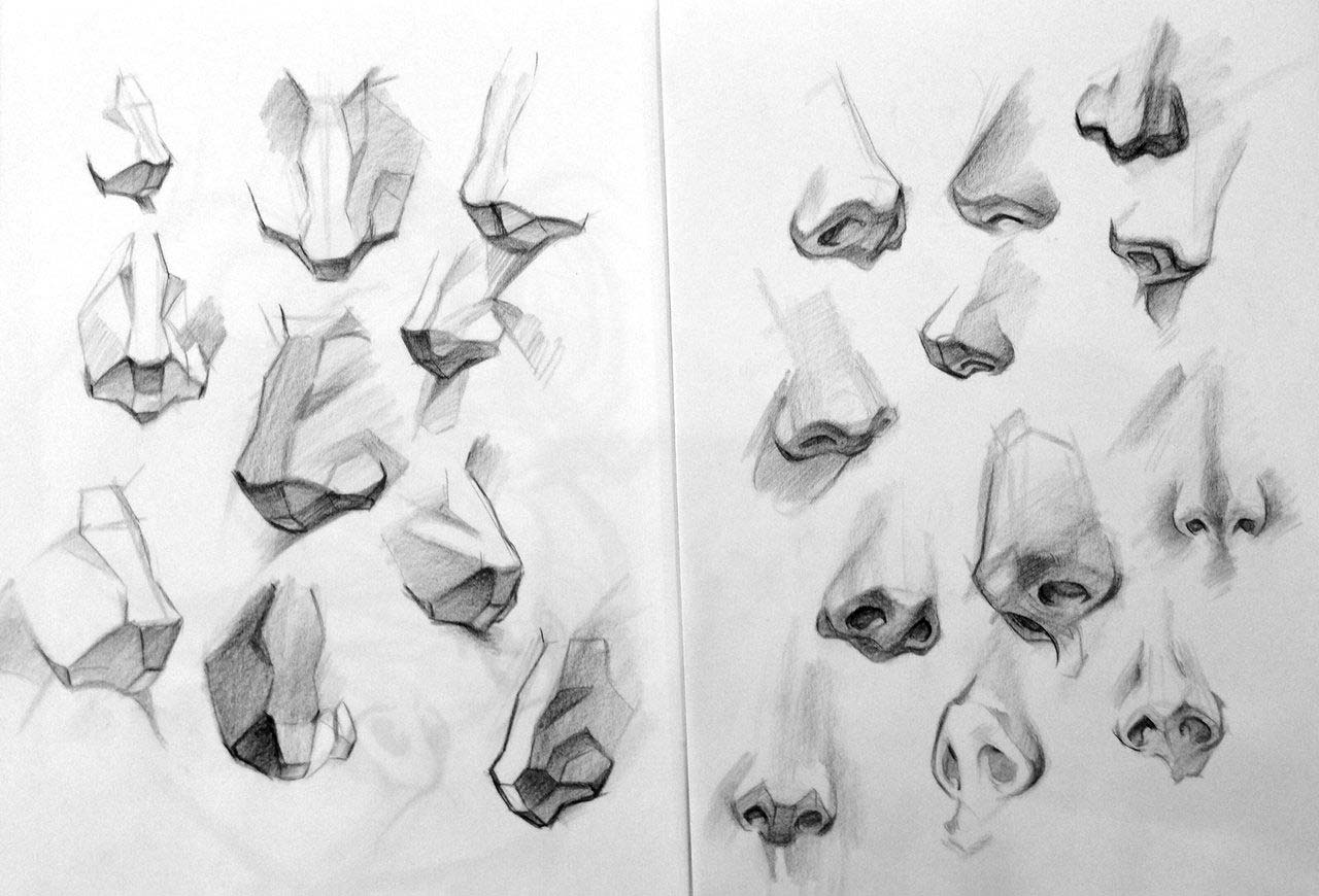 Nose Drawing Reference and Sketches for Artists