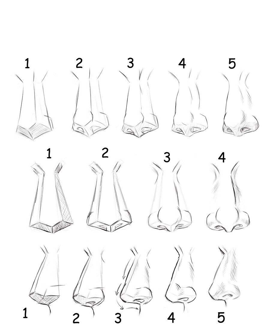 How to draw a nose from the front  7 easy steps  RapidFireArt