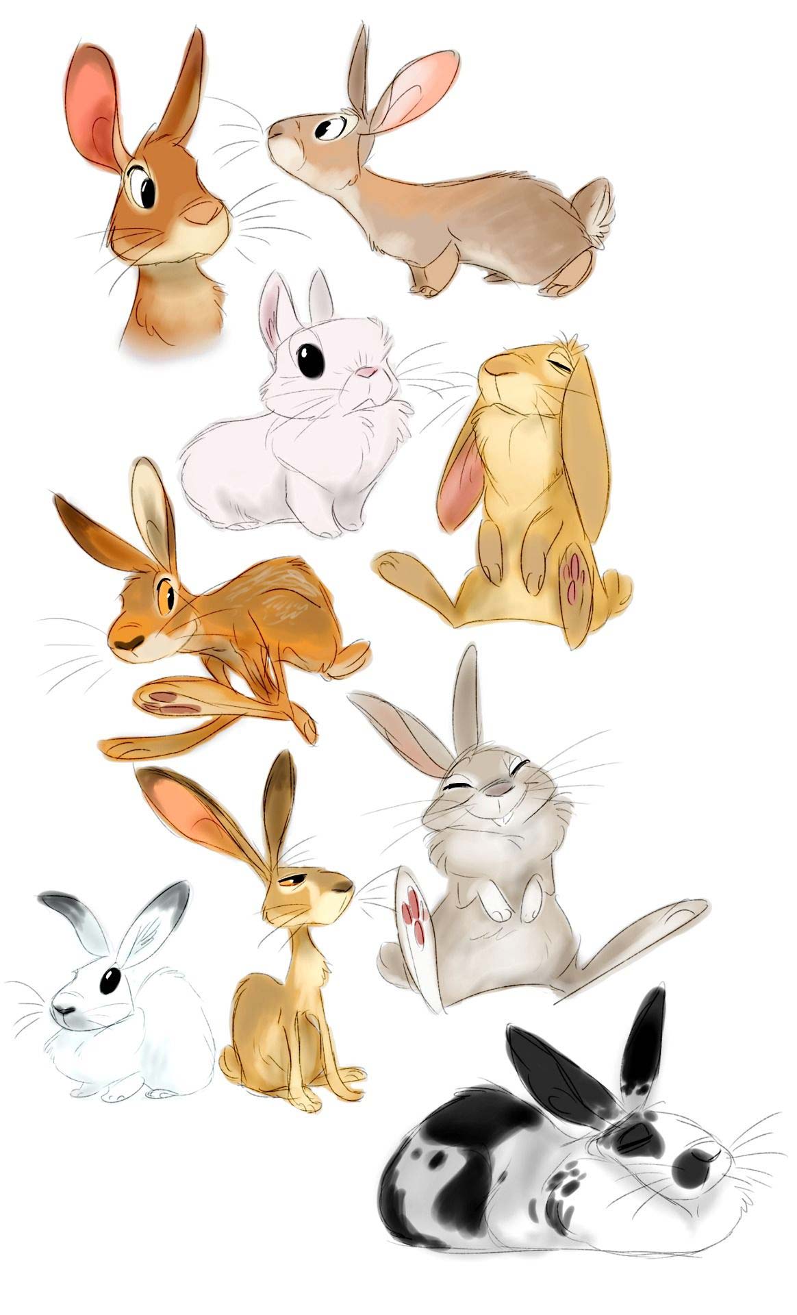 Bunny drawing reference