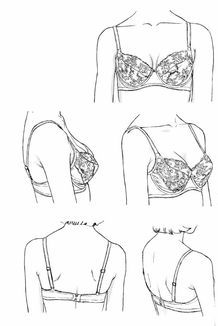 Bra Drawing Reference and Sketches for Artists