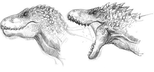 Dinosaurs drawing reference