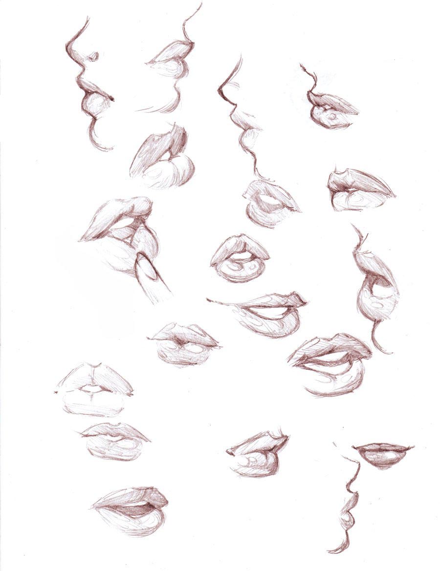 Lips Drawing Reference And Sketches For Artists What are the best drawing references website out there for artists? lips drawing reference and sketches for