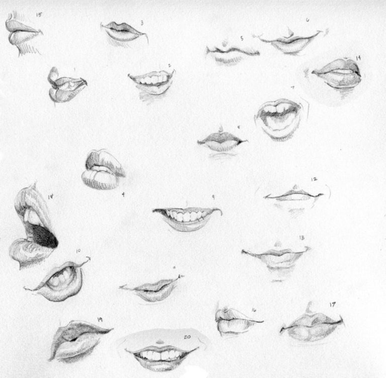 Lips Drawing Reference and Sketches for Artists