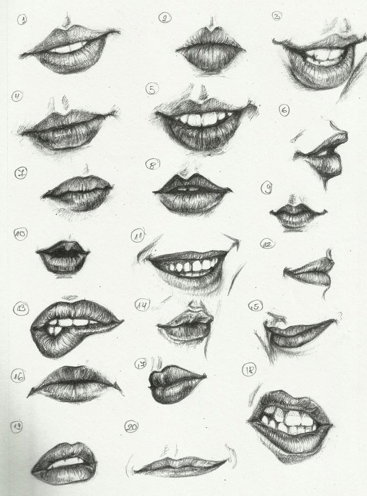 Anime mouth reference i find it helpful but i havent used it yet  Art  Amino