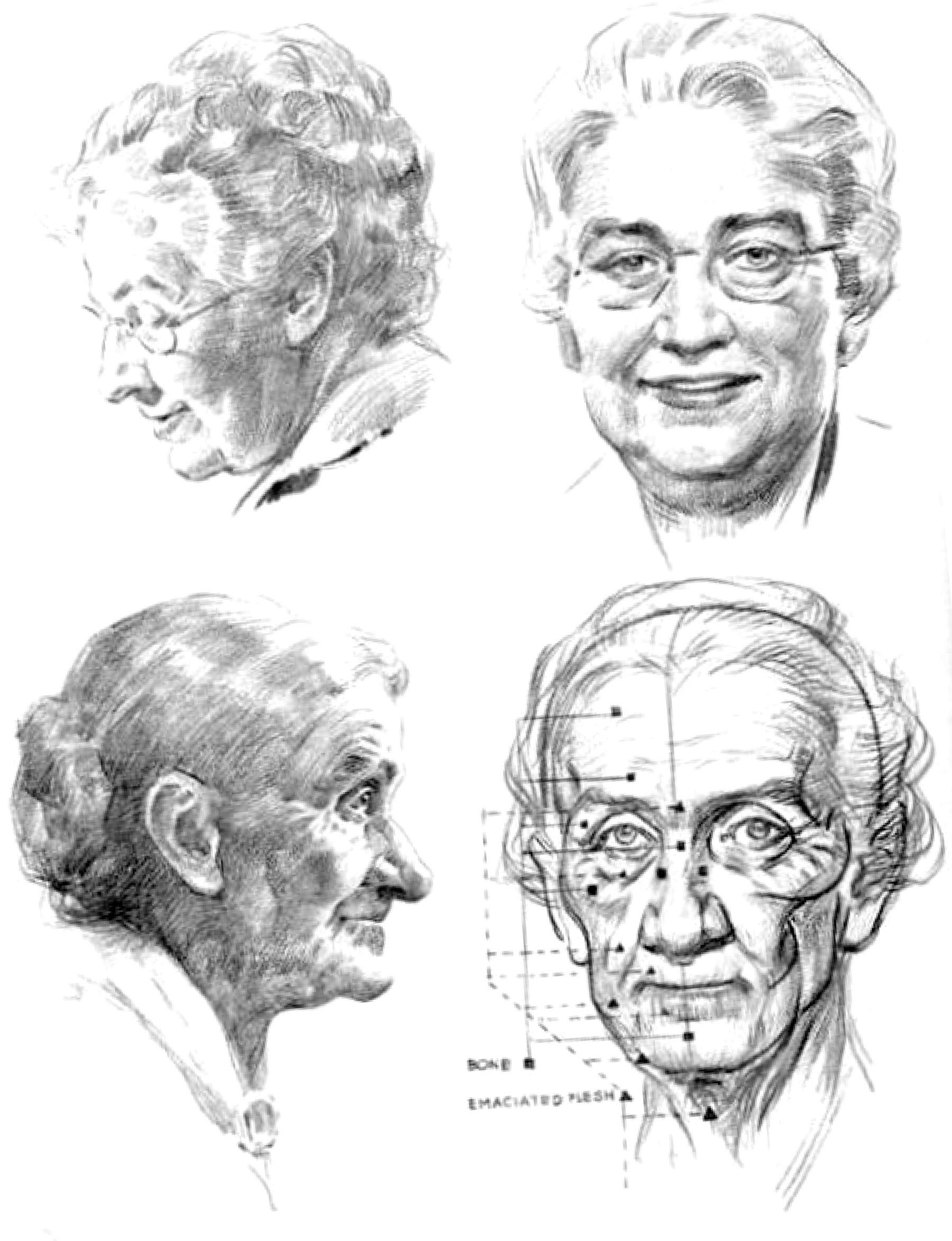 Images Of Facial Expression Reference Woman Face Reference Drawing
