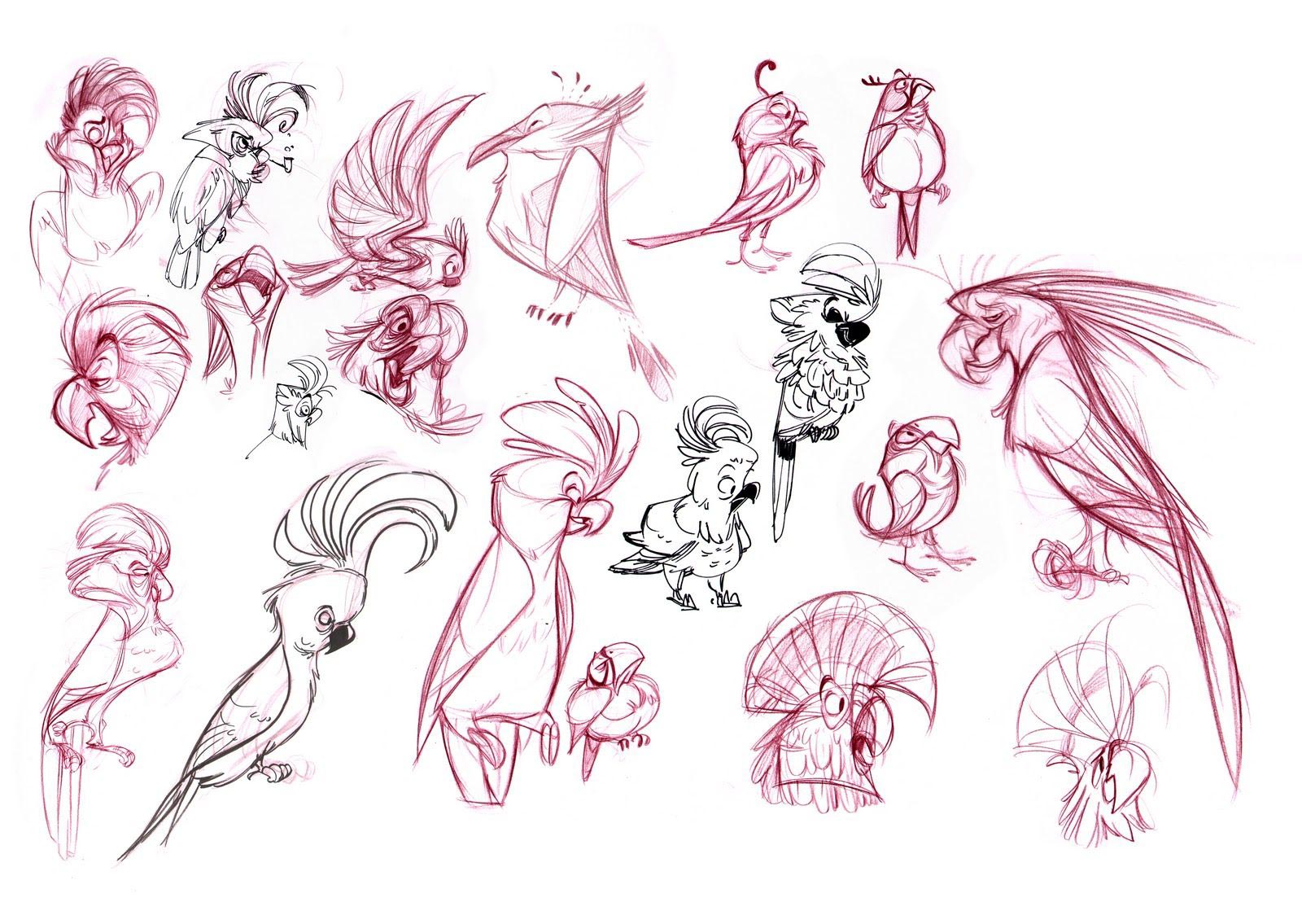 Parrot Drawing Reference and Sketches for Artists