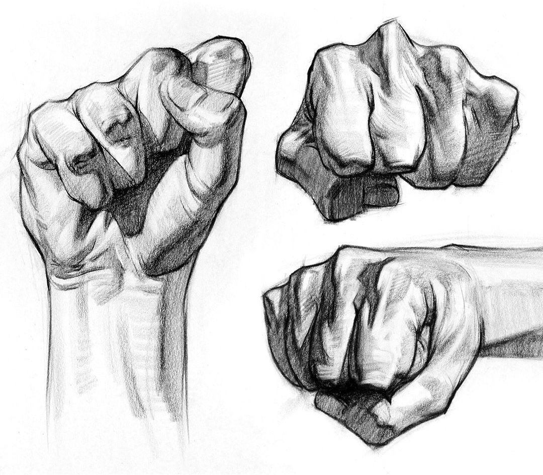 How to Draw a Fist  Easy Drawing Art  Drawing fist Drawings How to draw  hands