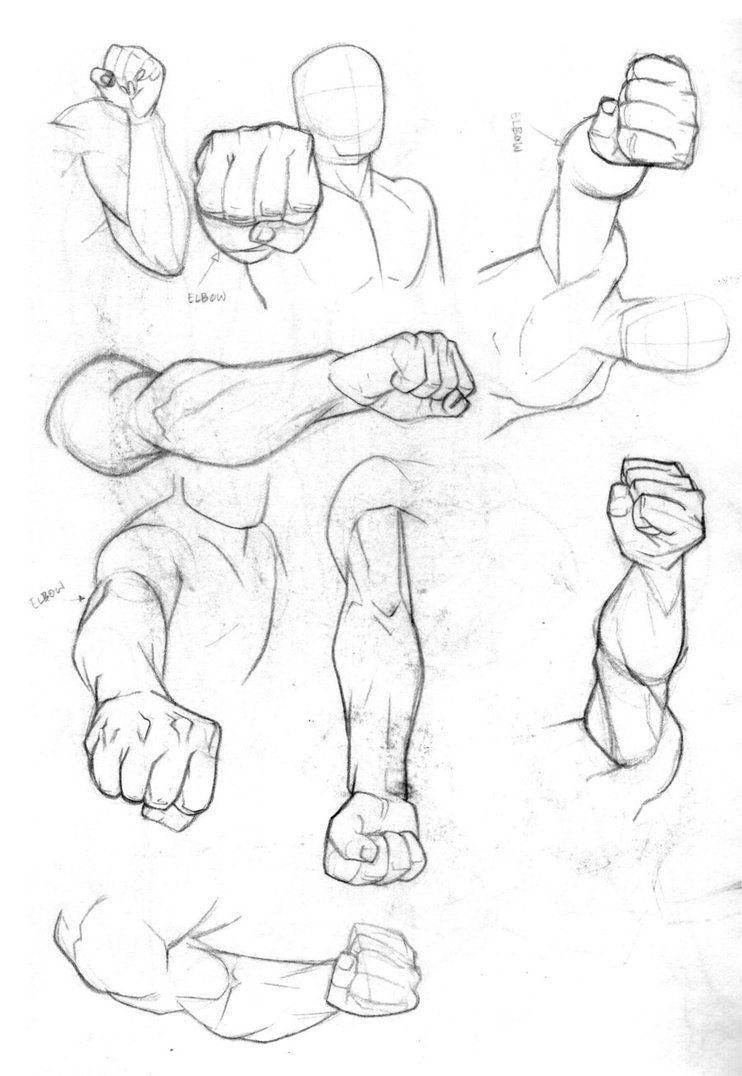 Fist Drawing Reference and Sketches for Artists