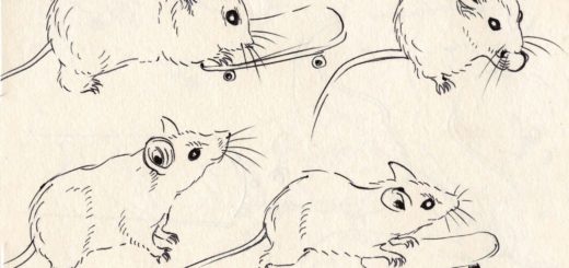 Mouse drawing reference