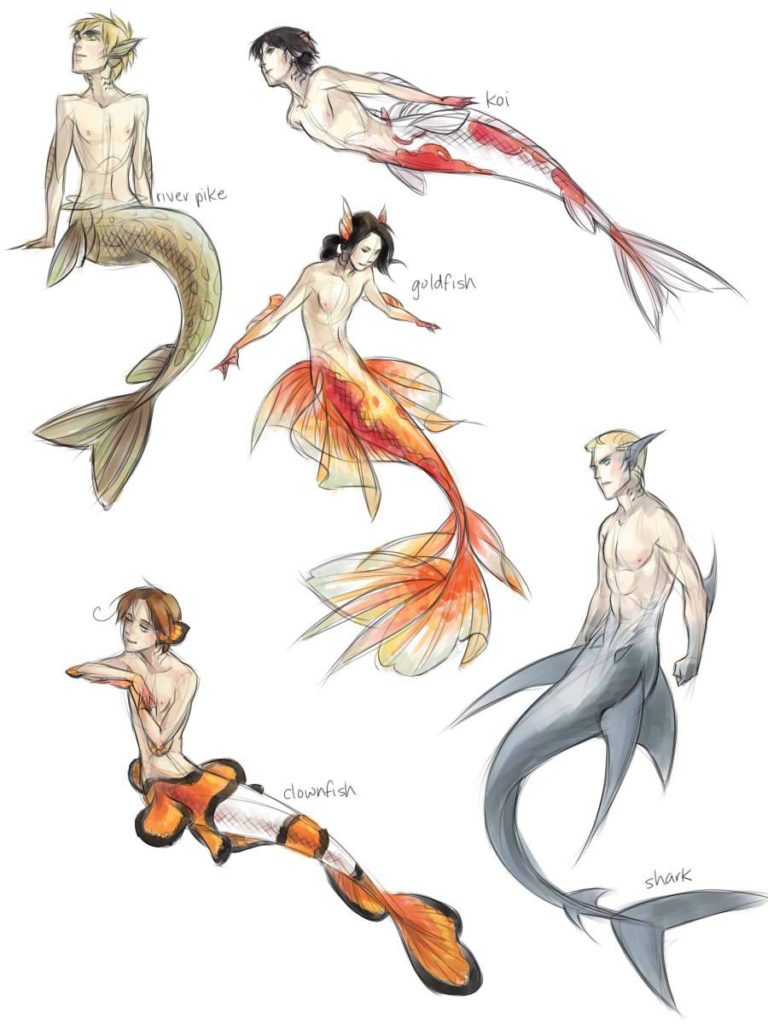 Mermaid Drawing Reference and Sketches for Artists