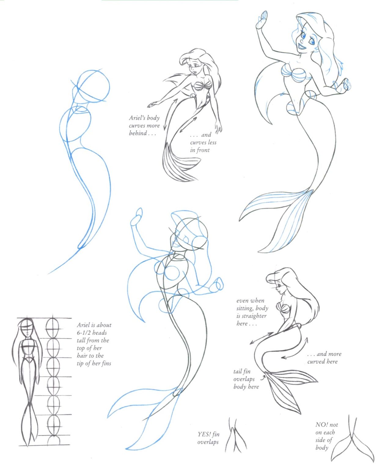 Mermaid Drawing Reference and Sketches for Artists
